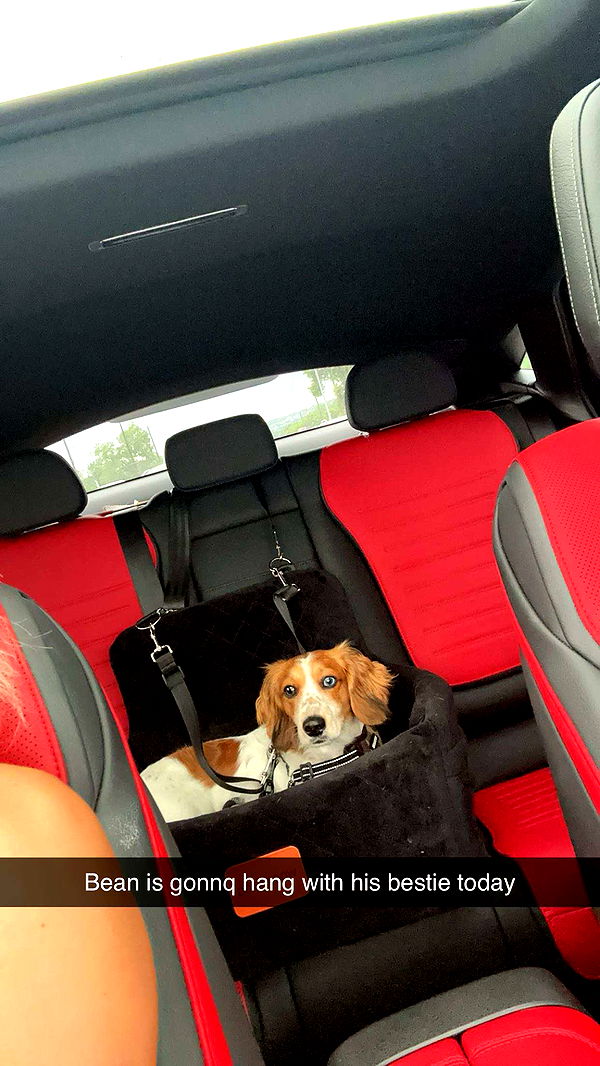 laurenj.fit image ~ Altpins