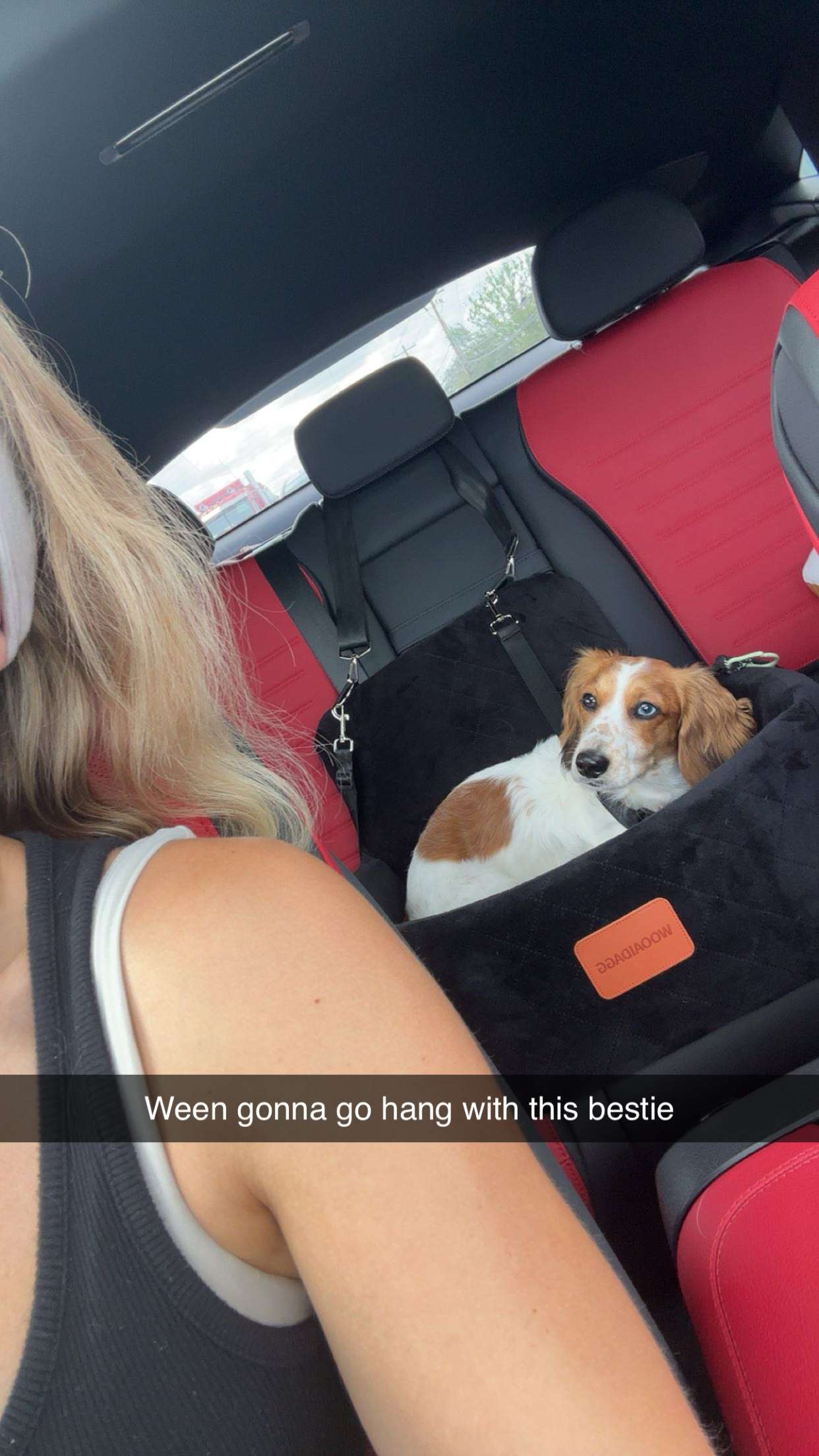 laurenj.fit snapchat image archive image