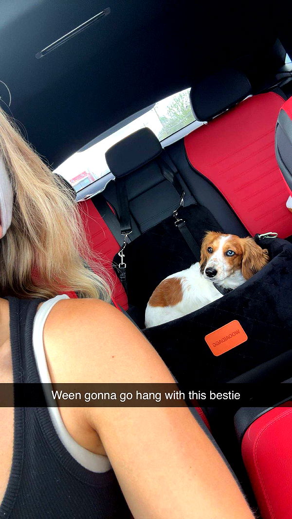 laurenj.fit image ~ Altpins