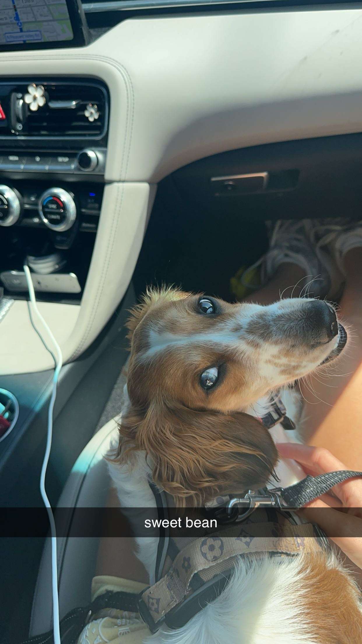 laurenj.fit snapchat image archive image