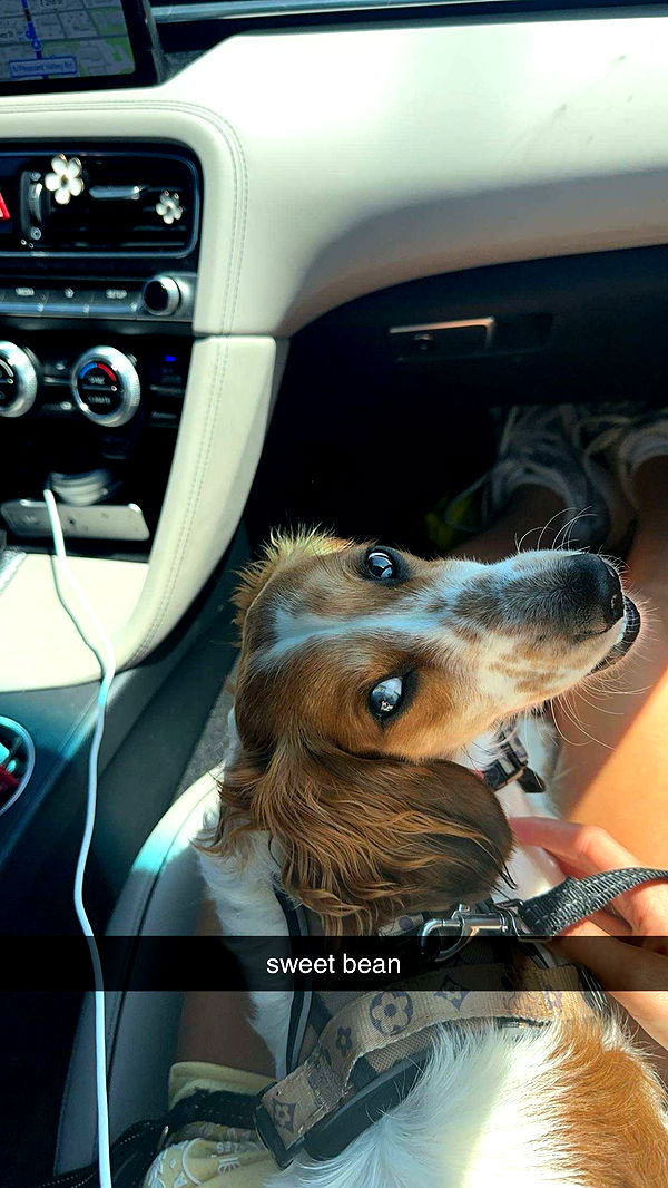 laurenj.fit image ~ Altpins