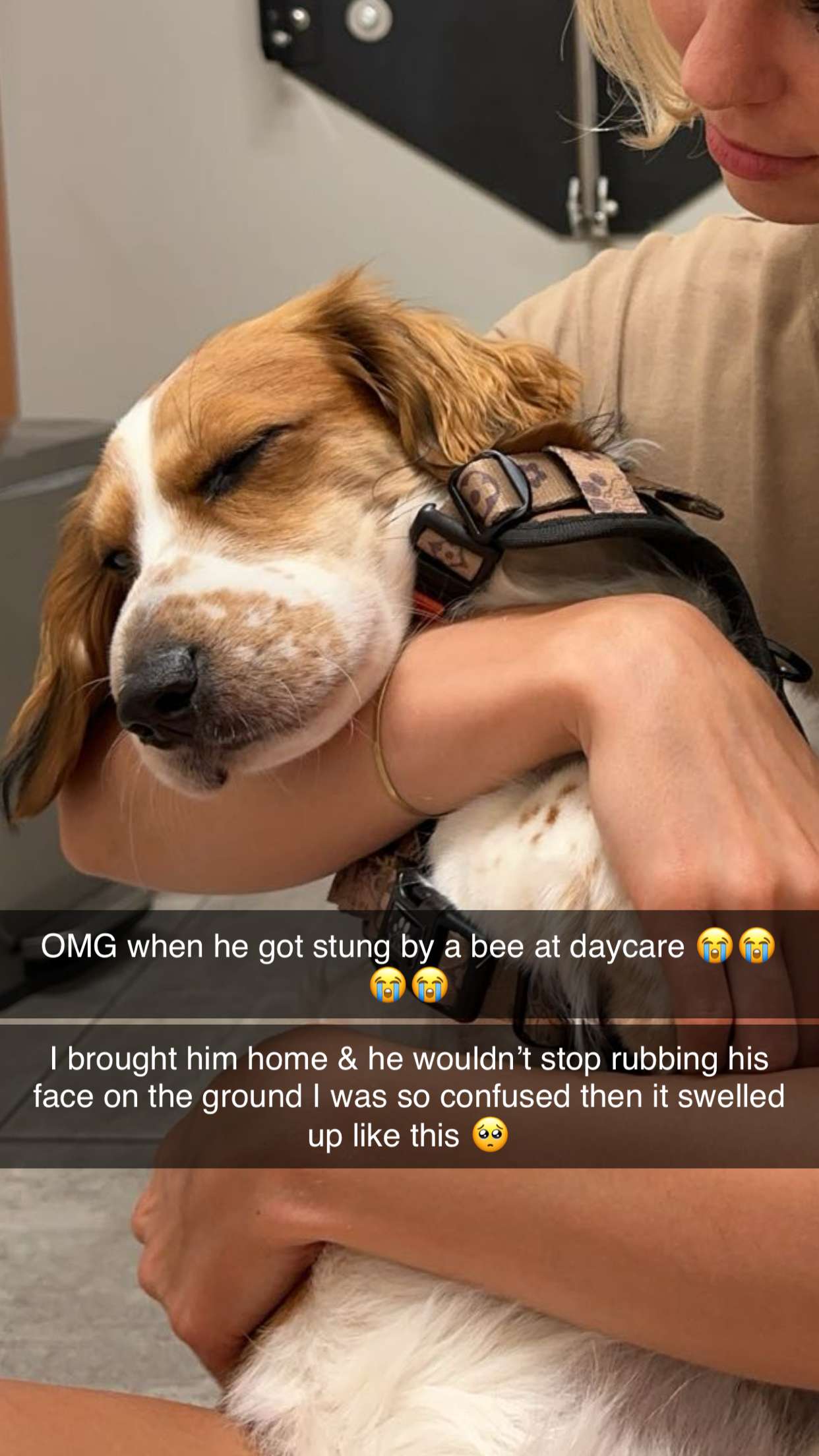 laurenj.fit snapchat image archive image