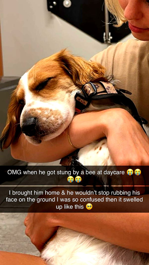 laurenj.fit image ~ Altpins