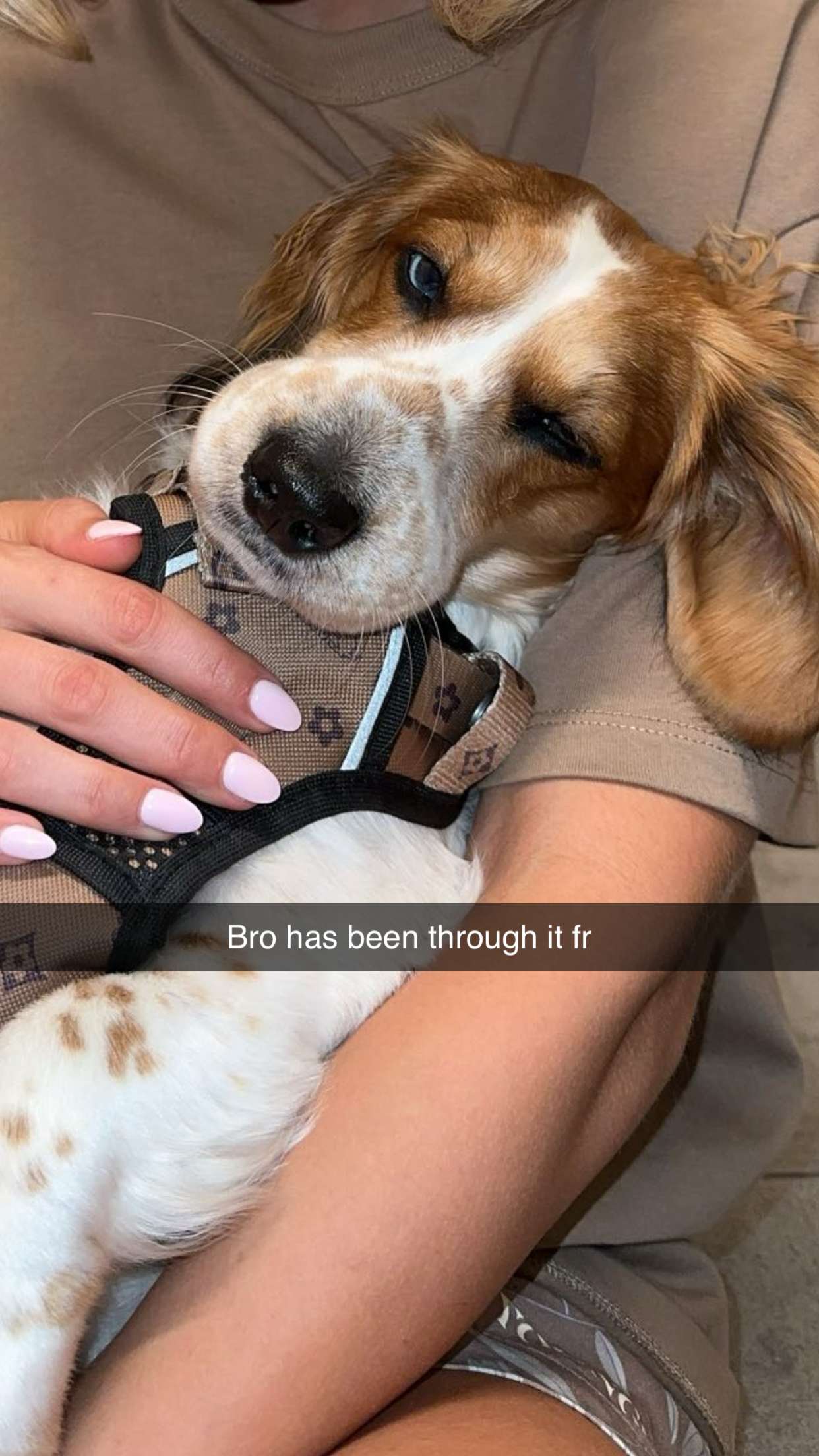 laurenj.fit snapchat image archive image