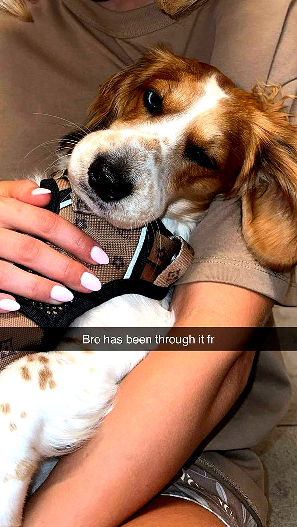 laurenj.fit image ~ Altpins