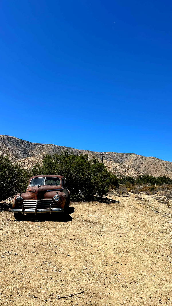 laurenj.fit image ~ Altpins