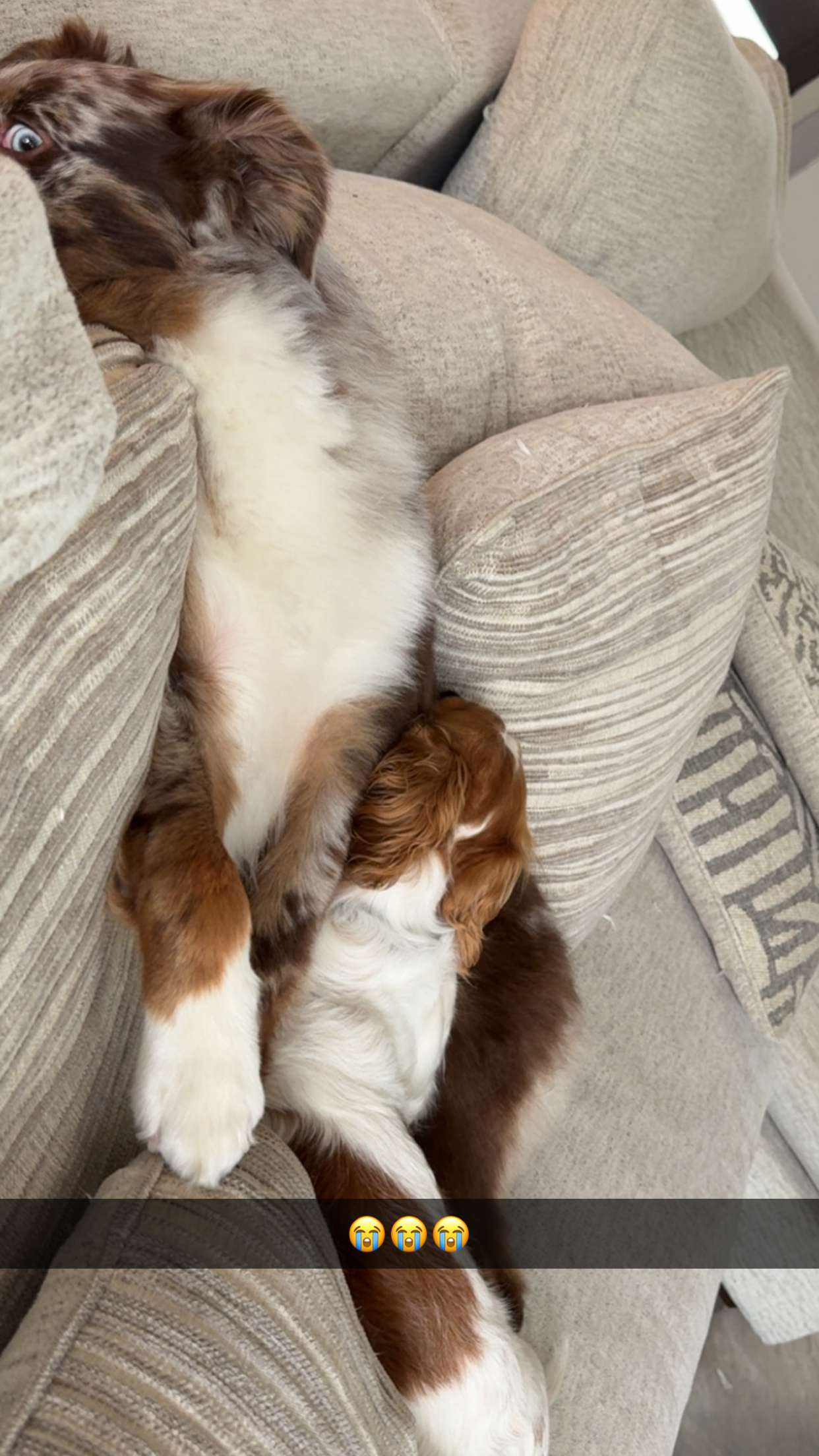 laurenj.fit snapchat image archive image