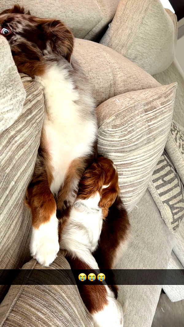 laurenj.fit image ~ Altpins