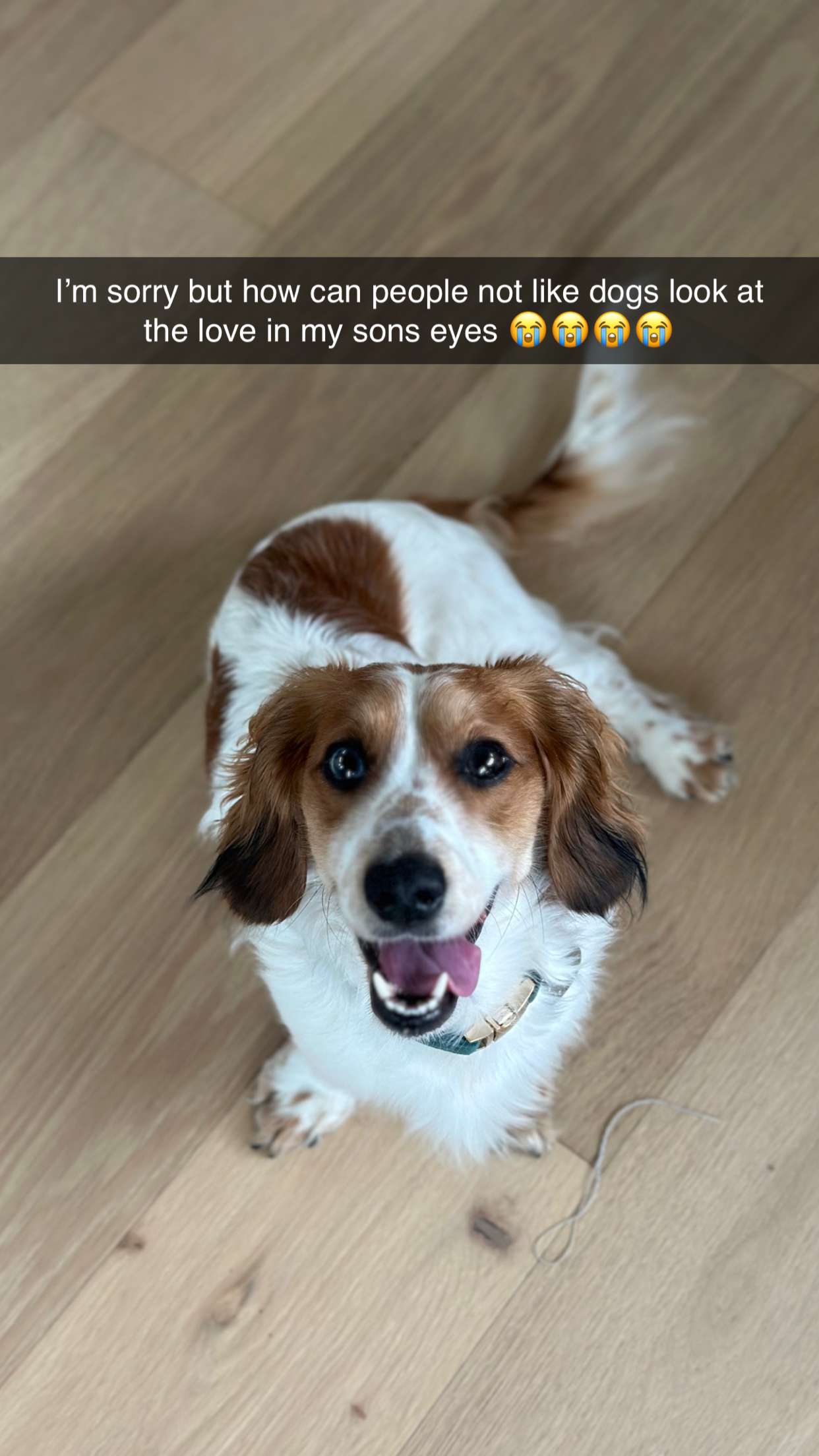 laurenj.fit snapchat image archive image