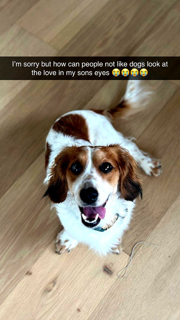 laurenj.fit image ~ Altpins