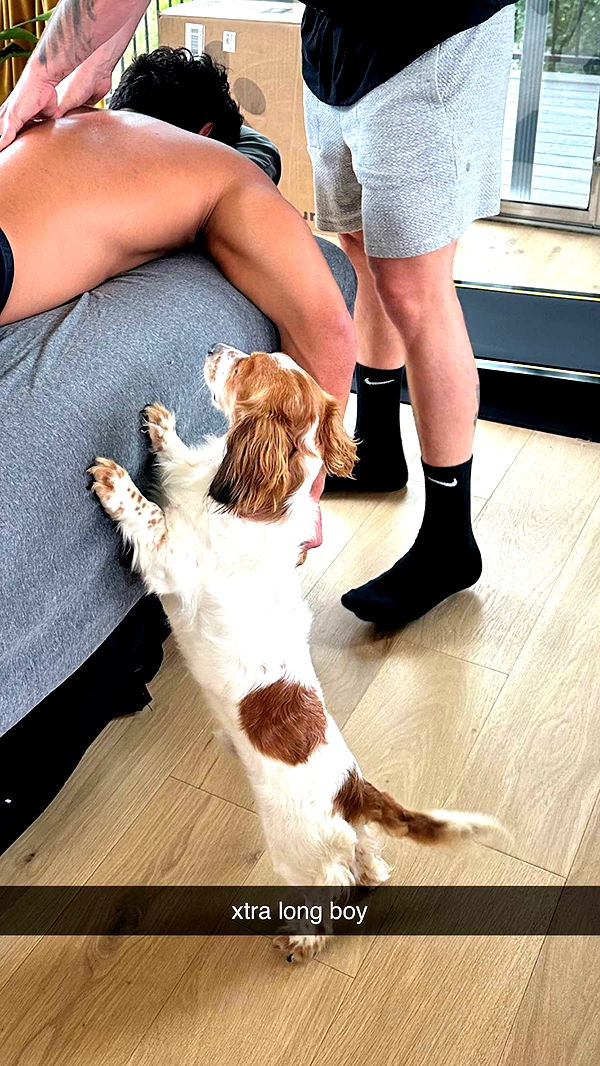 laurenj.fit image ~ Altpins