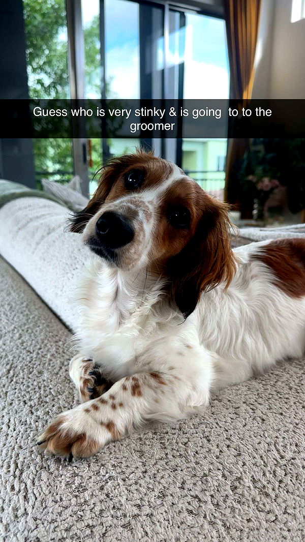 laurenj.fit image ~ Altpins