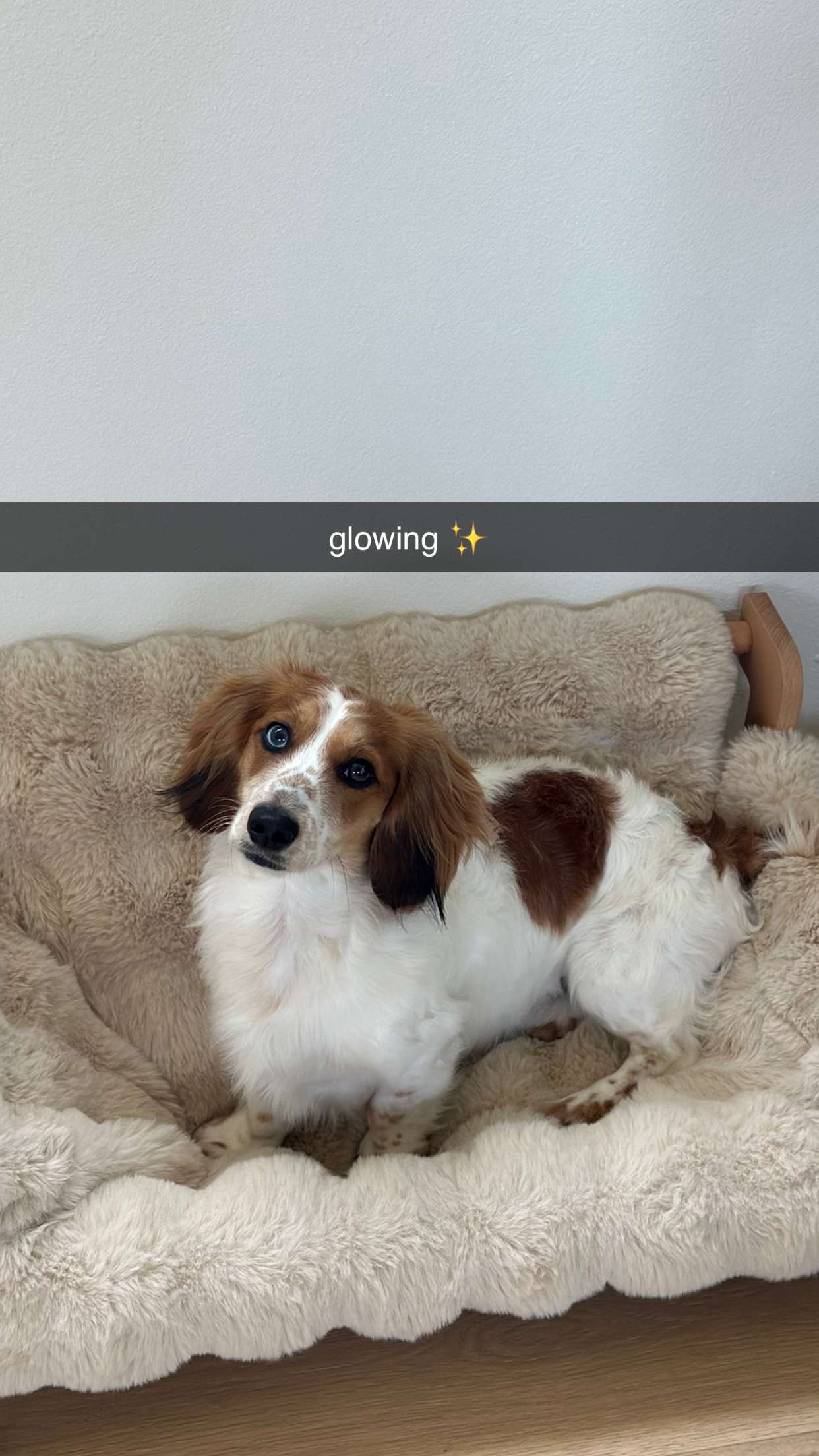 laurenj.fit snapchat image archive image