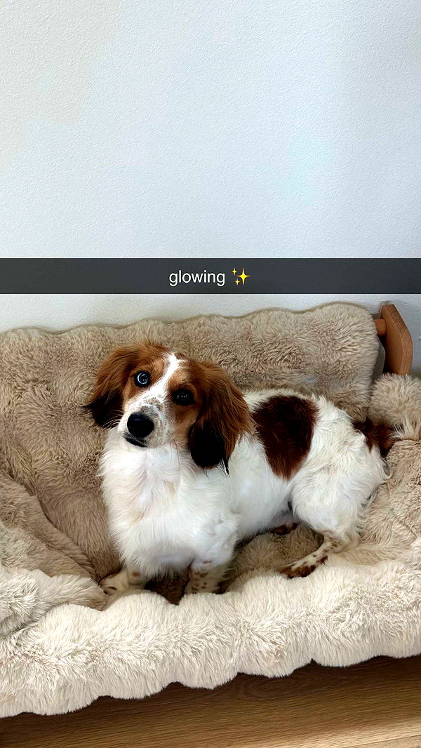 laurenj.fit image ~ Altpins