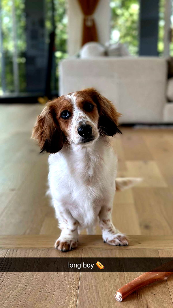 laurenj.fit image ~ Altpins