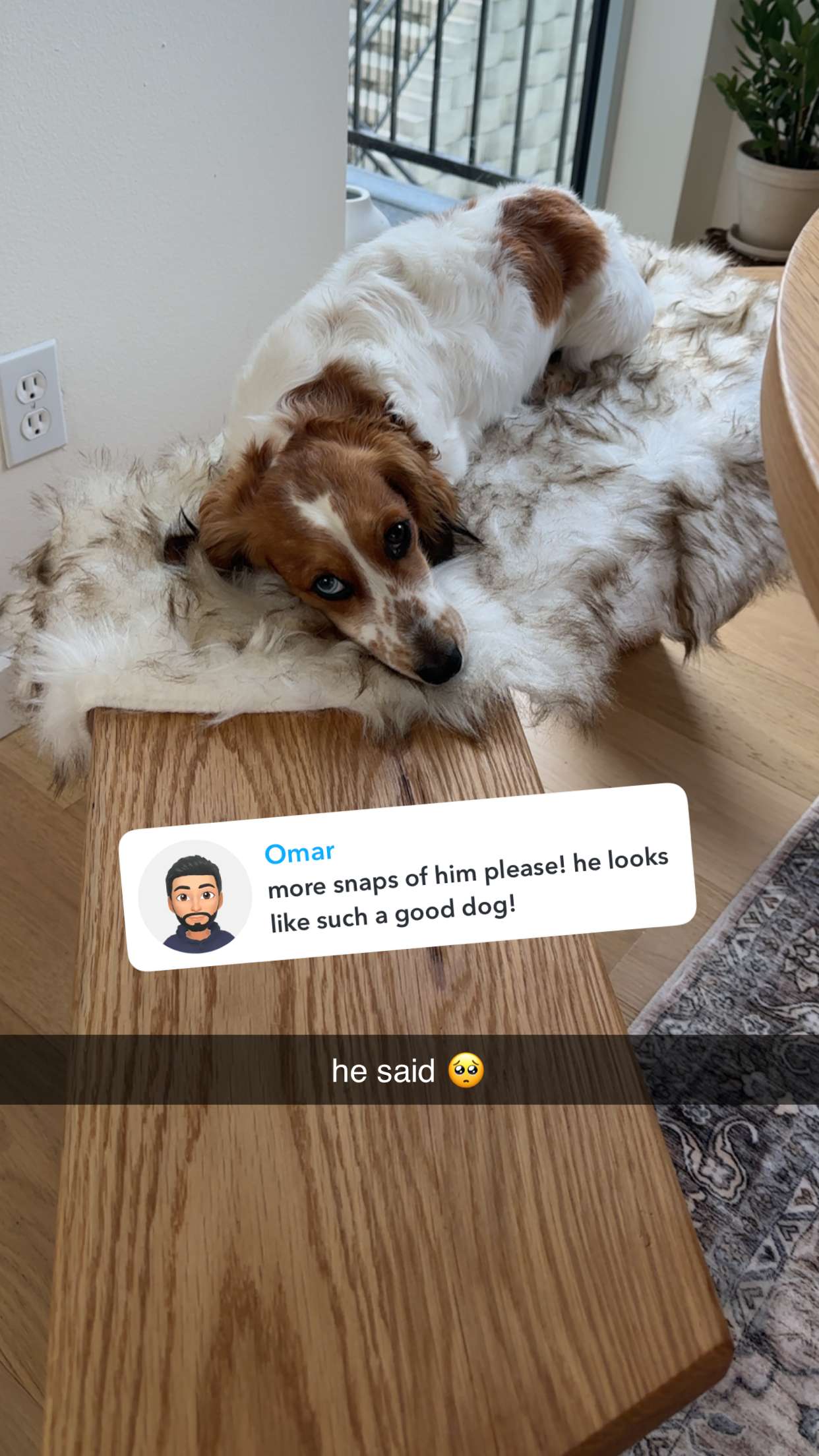 laurenj.fit snapchat image archive image