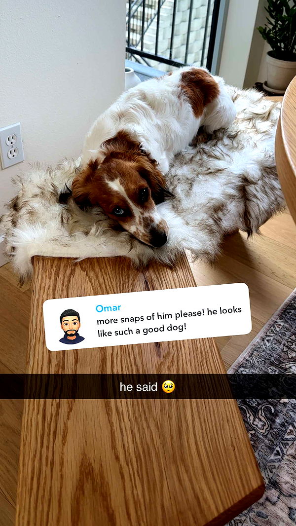 laurenj.fit image ~ Altpins