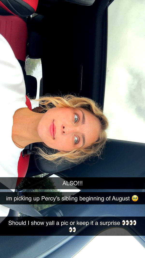 laurenj.fit image ~ Altpins