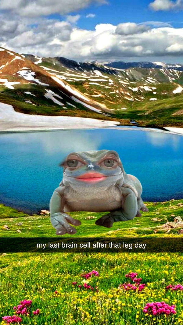 laurenj.fit image ~ Altpins