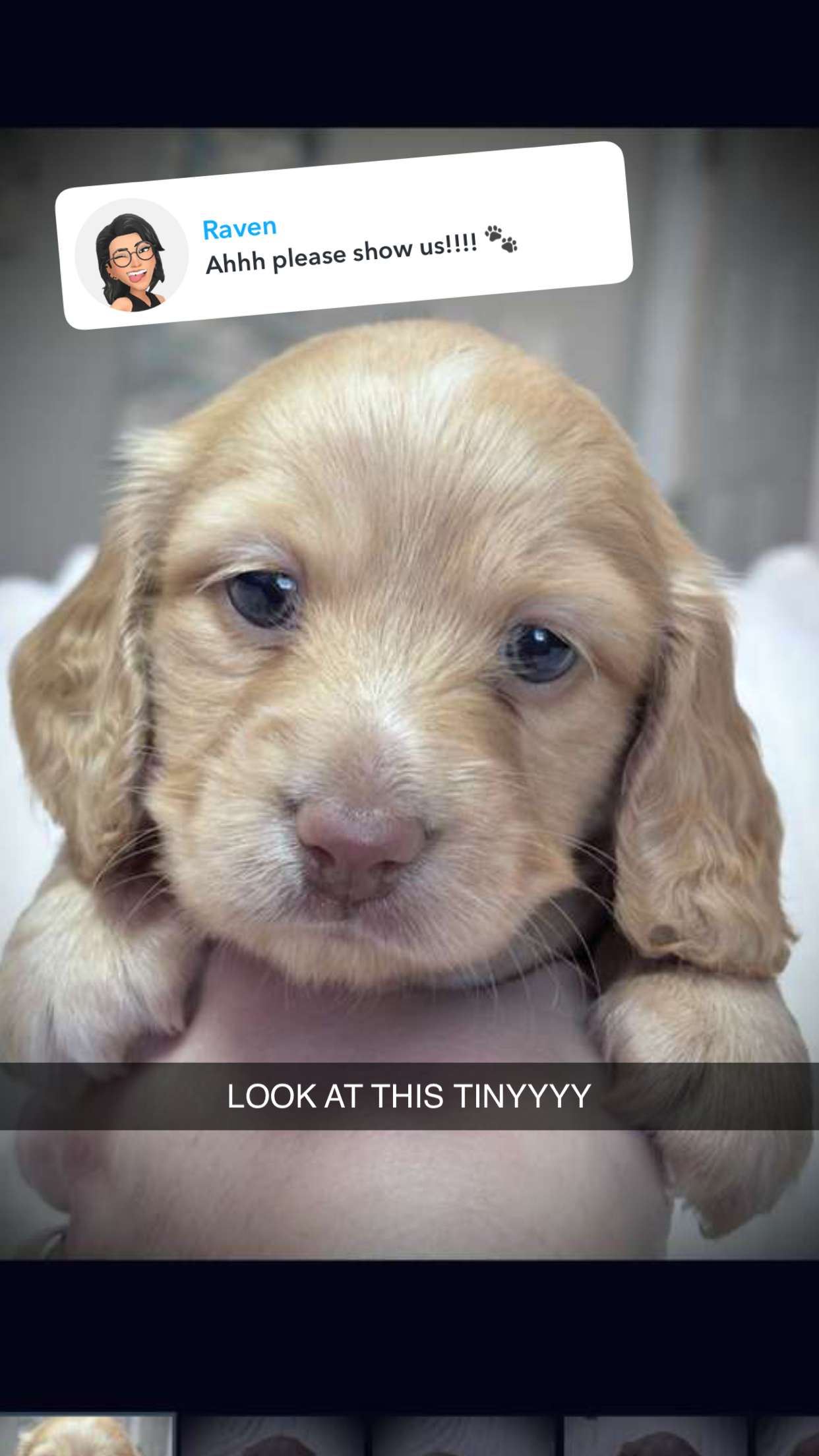 laurenj.fit snapchat image archive image