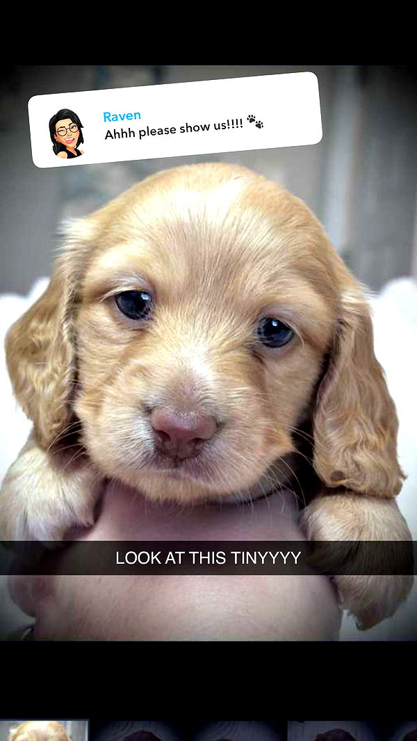 laurenj.fit image ~ Altpins