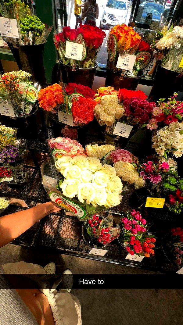 laurenj.fit image ~ Altpins