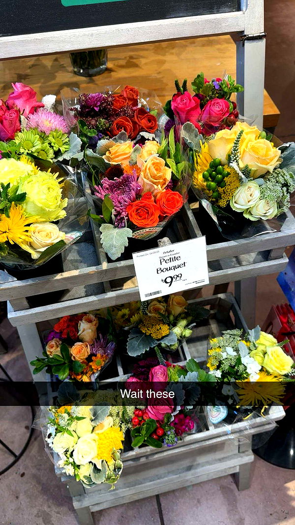 laurenj.fit image ~ Altpins