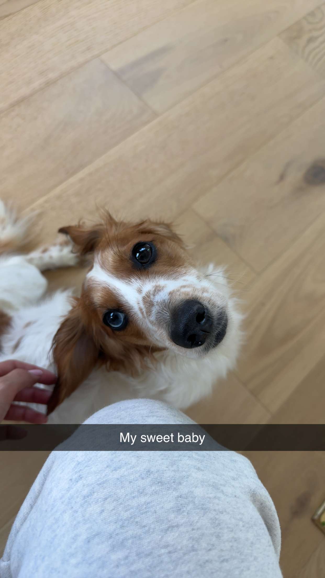 laurenj.fit snapchat image archive image