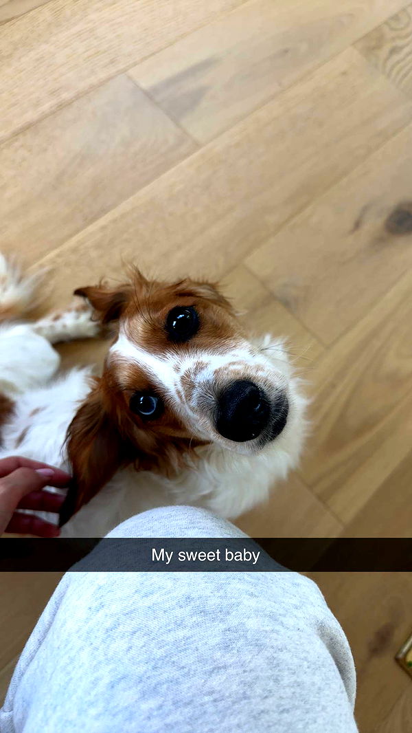 laurenj.fit image ~ Altpins