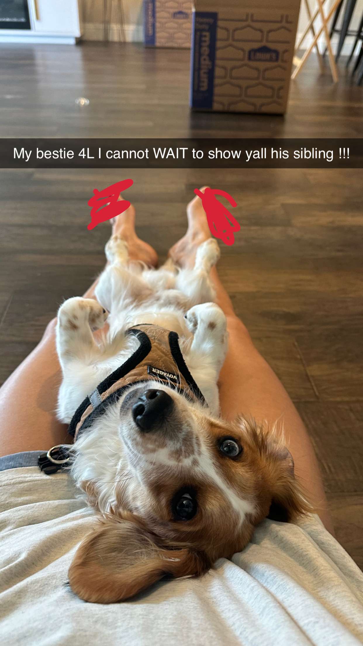 laurenj.fit snapchat image archive image