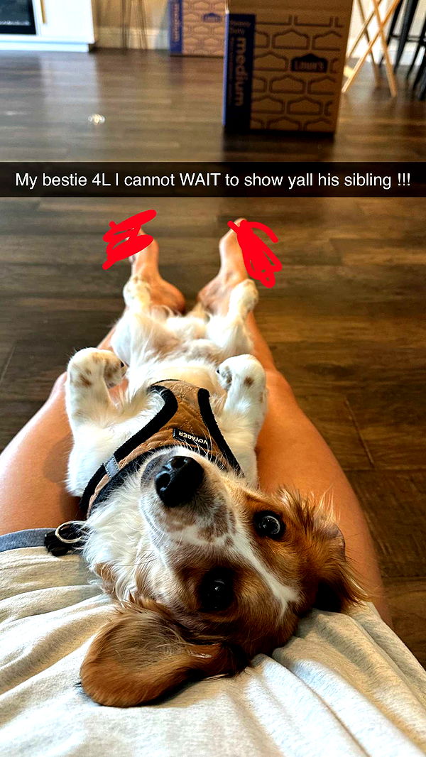 laurenj.fit image ~ Altpins