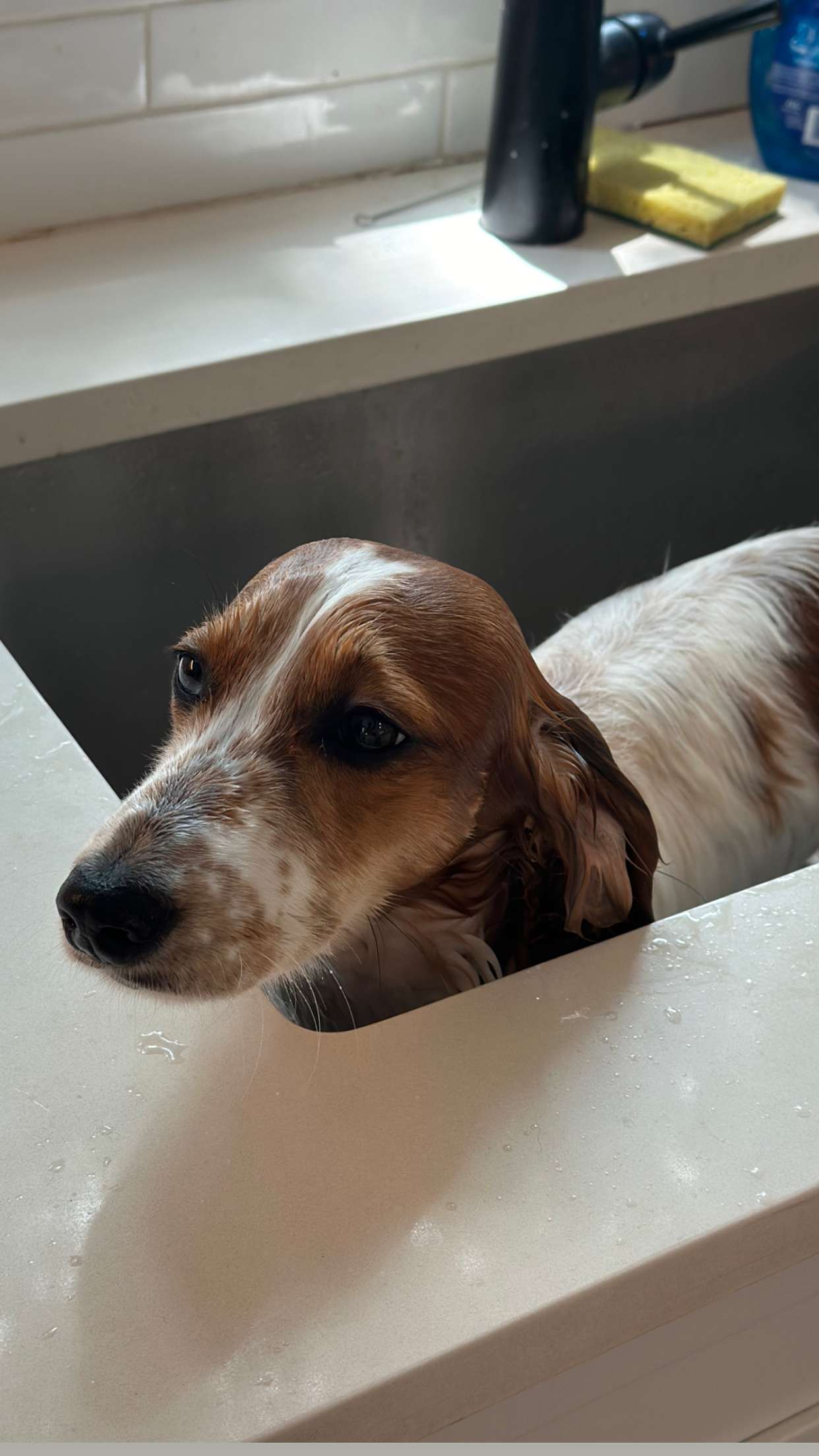 laurenj.fit snapchat image archive image