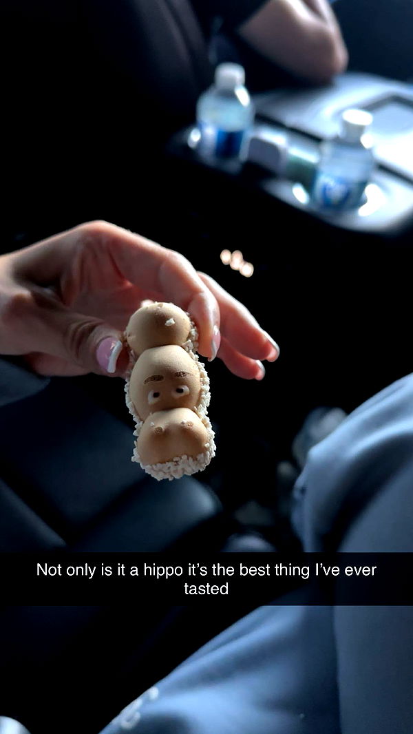 laurenj.fit image ~ Altpins