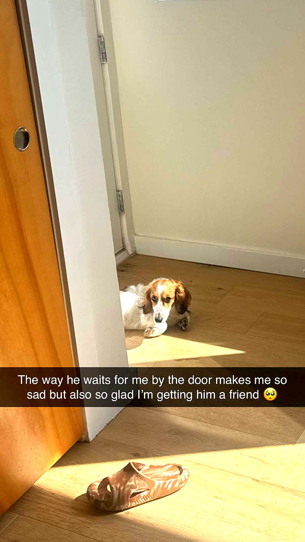 laurenj.fit image ~ Altpins