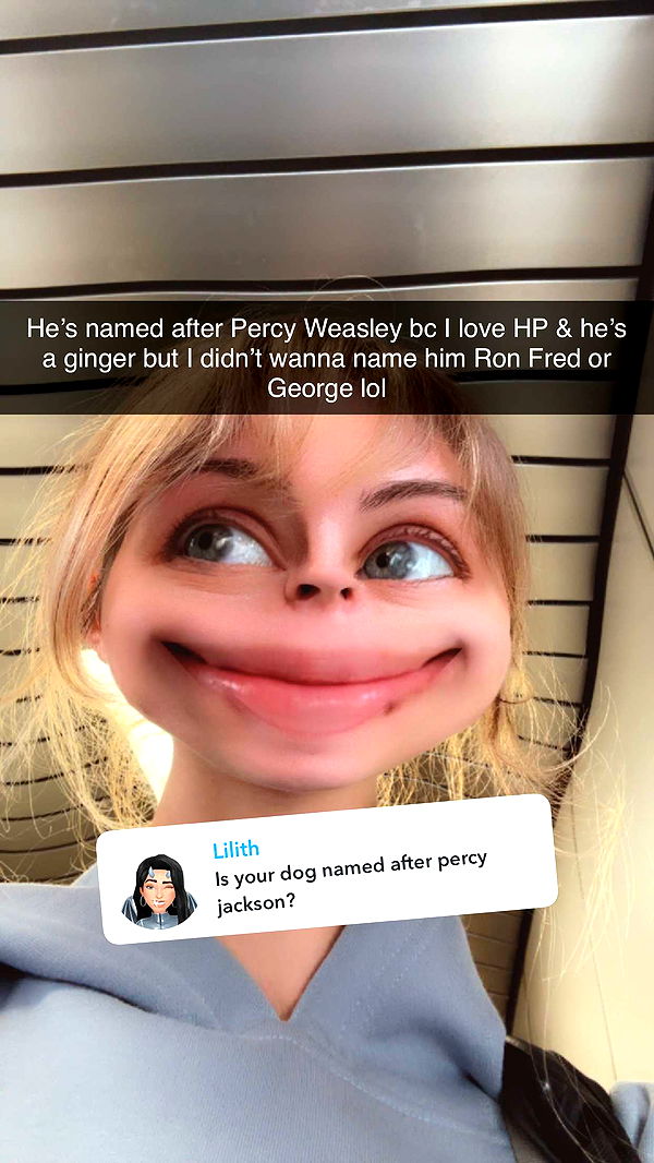 laurenj.fit image ~ Altpins