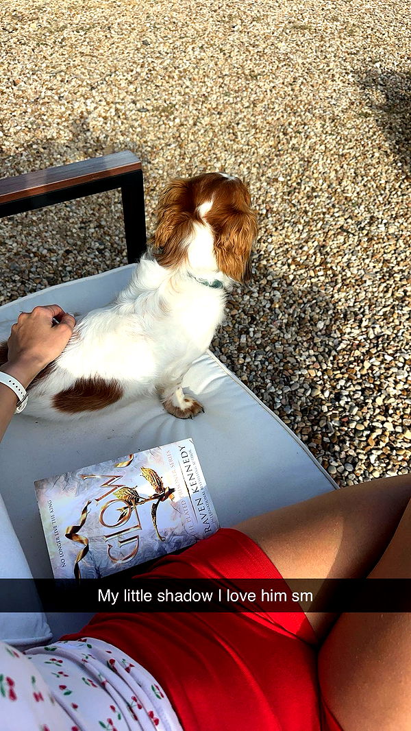 laurenj.fit image ~ Altpins