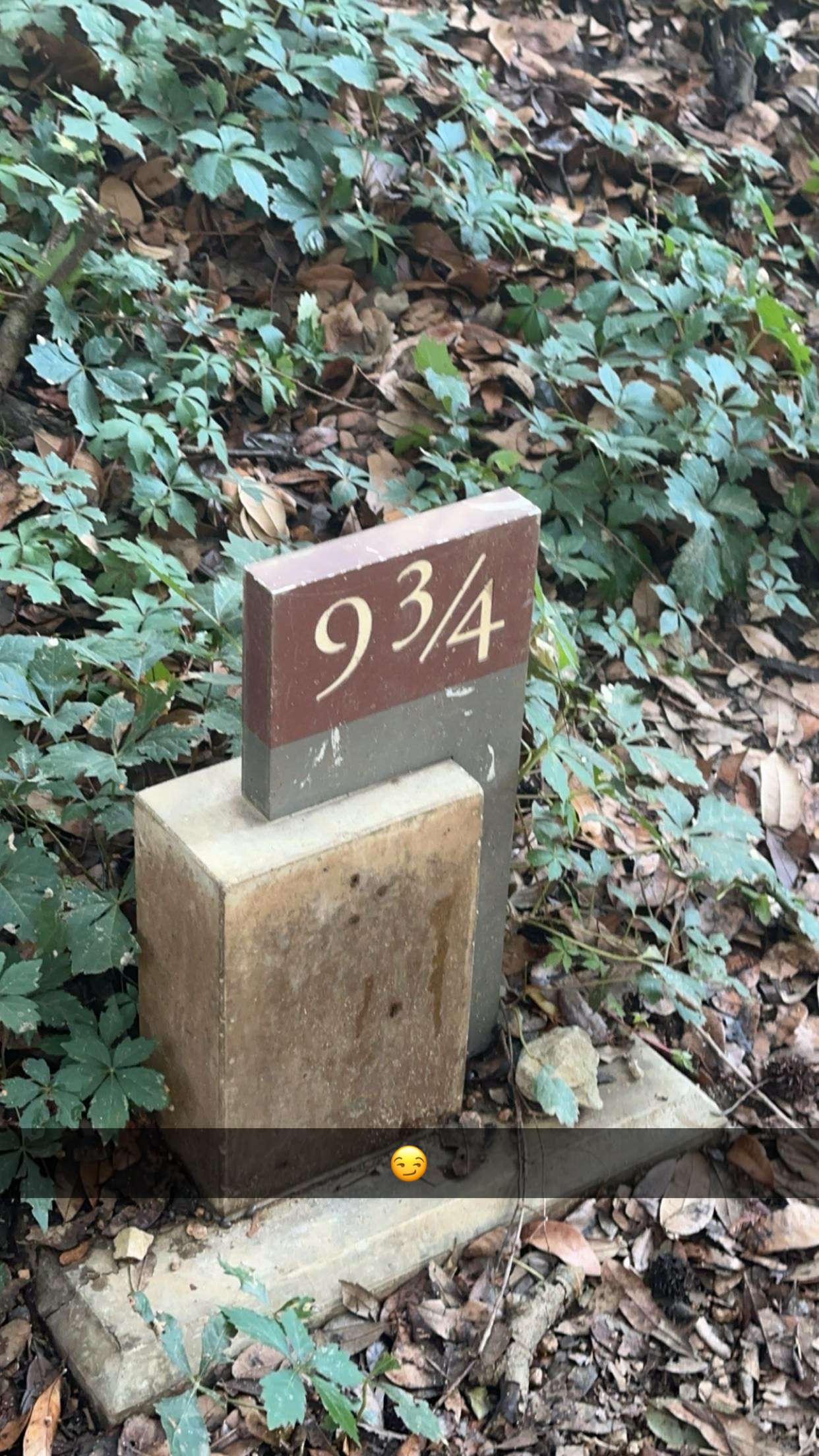 laurenj.fit snapchat image archive image