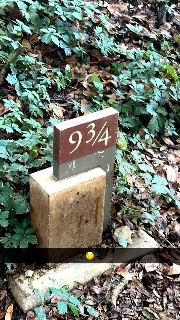 laurenj.fit image ~ Altpins