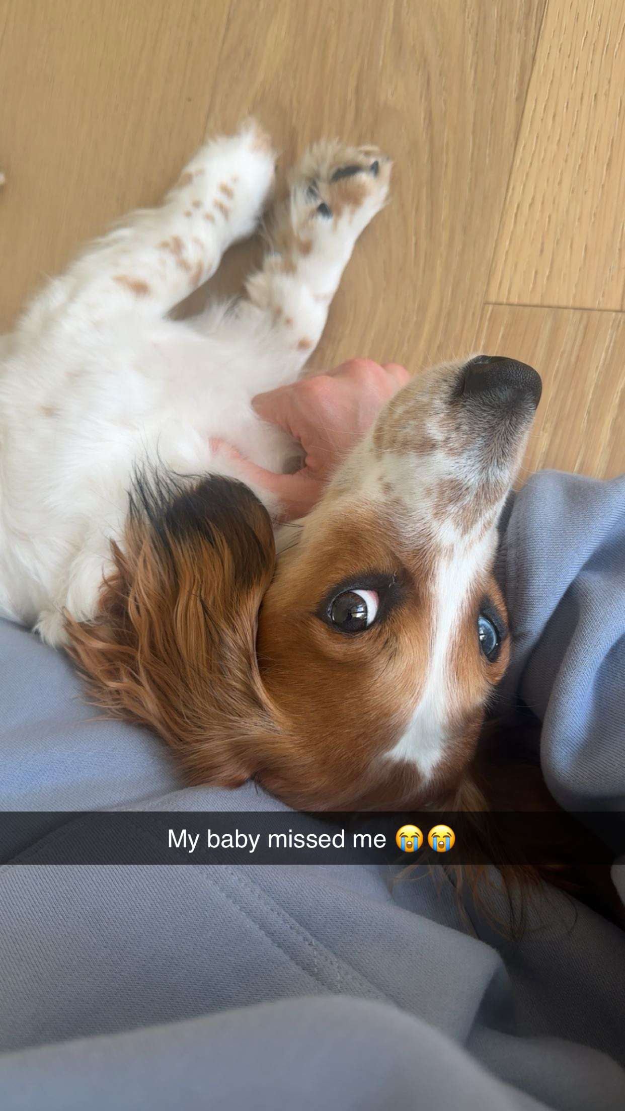 laurenj.fit snapchat image archive image