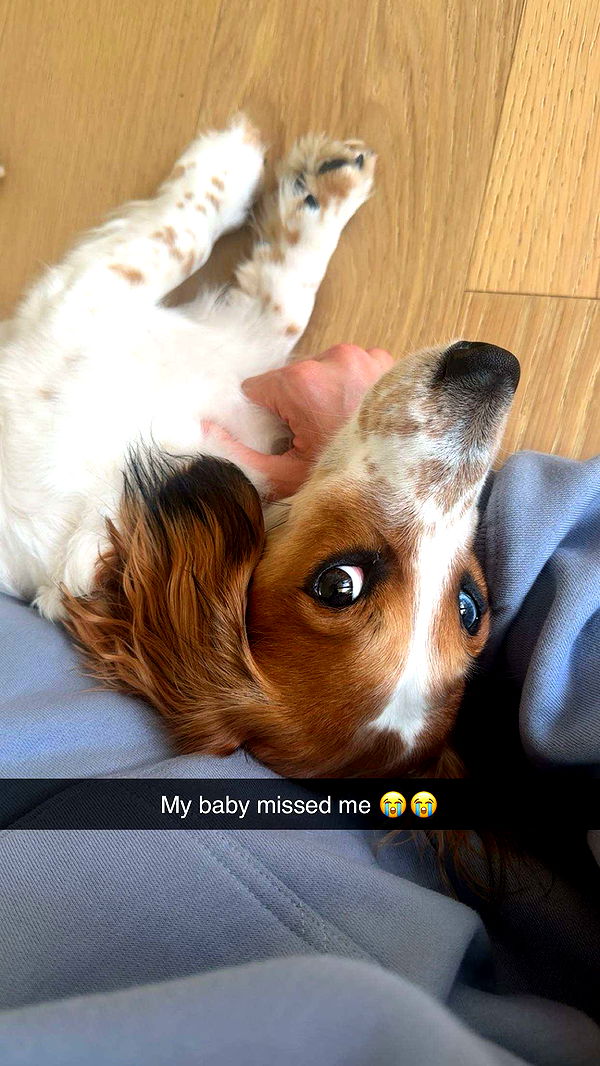 laurenj.fit image ~ Altpins