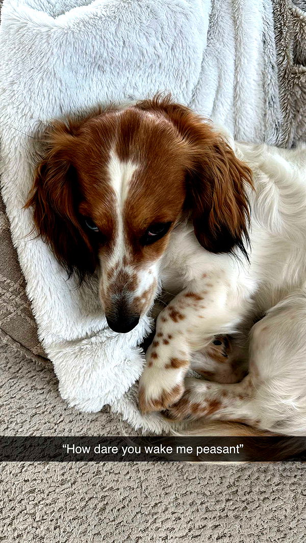 laurenj.fit image ~ Altpins