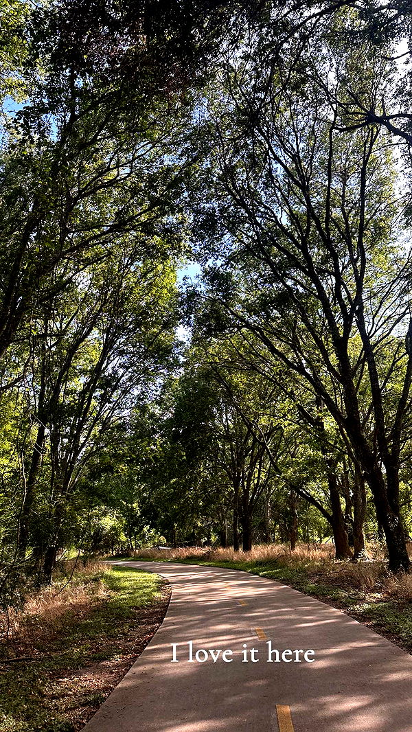 laurenj.fit image ~ Altpins