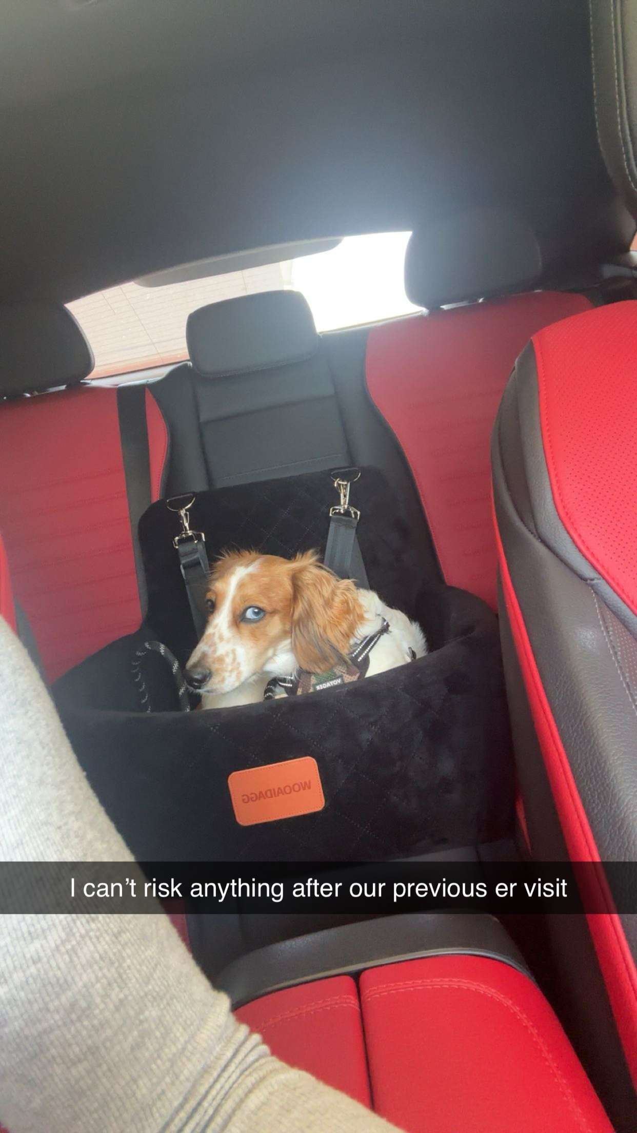 laurenj.fit snapchat image archive image