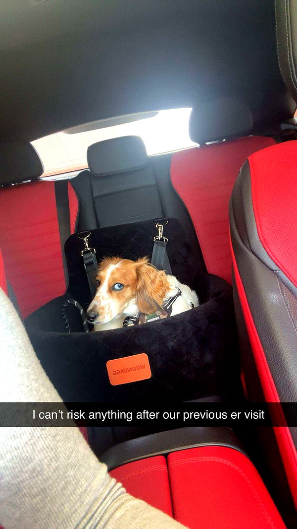 laurenj.fit image ~ Altpins