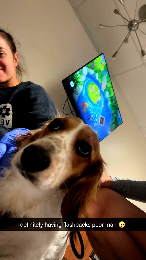 laurenj.fit image ~ Altpins