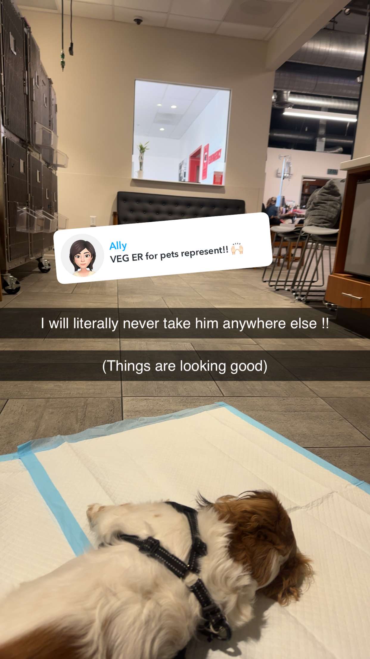 laurenj.fit snapchat image archive image