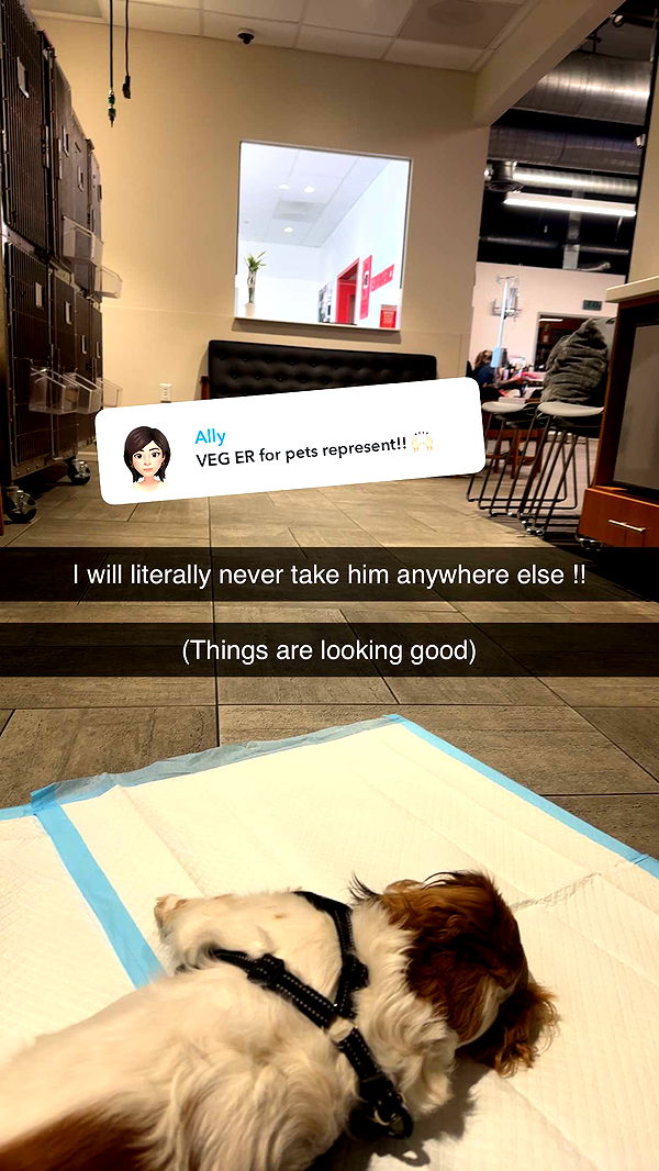 laurenj.fit image ~ Altpins