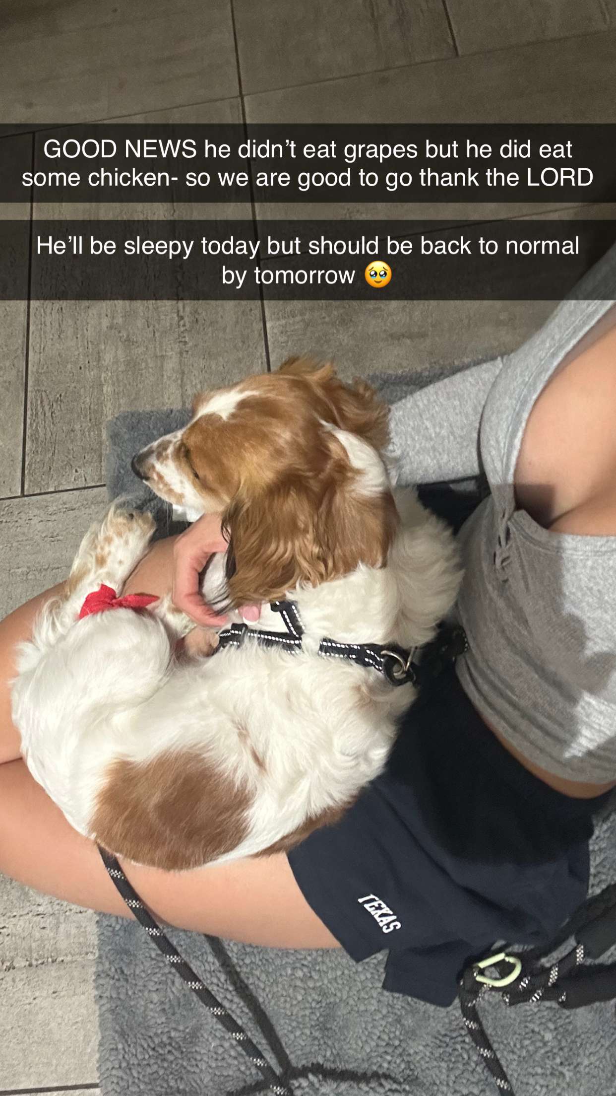 laurenj.fit snapchat image archive image