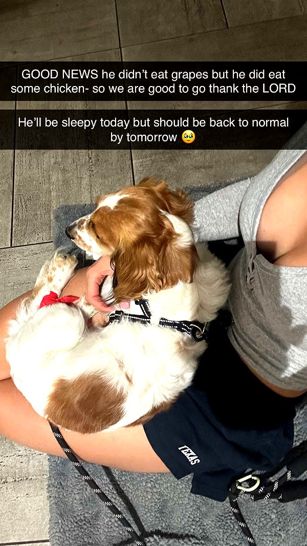 laurenj.fit image ~ Altpins