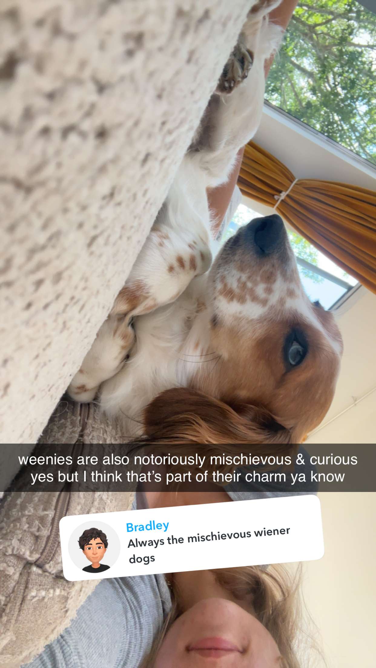 laurenj.fit snapchat image archive image